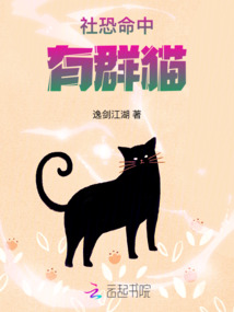 社恐命中有群猫