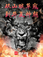 从山贼草寇,到华夏神朝!在线阅读