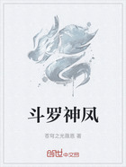 斗罗神凤在线阅读