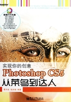 实现你的创意：Photoshop CS5从菜鸟到达人在线阅读