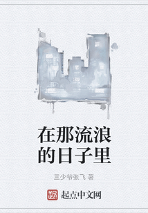 在那流浪的日子里
