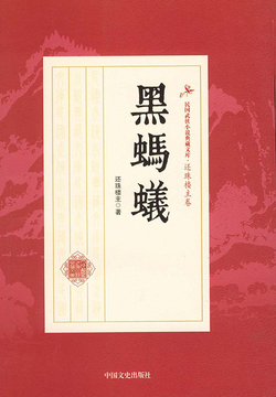 黑蚂蚁 封面