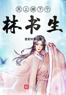 天上掉下个林书生