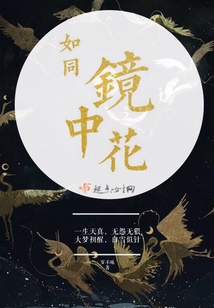如同鏡中花