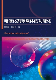 電催化劑碳載體的功能化