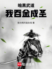暗黑武道:我吞金成圣