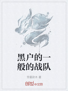 黑户的一般的战队在线阅读