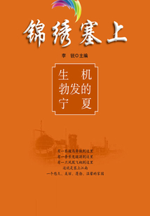 生機(jī)勃發(fā)的寧夏