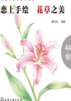 恋上手绘：花草之美在线阅读