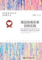 基层慈善改革创新实践：深圳市宝安区慈善会十年探索在线阅读