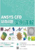 CAE分析大系：ANSYS CFD疑难问题实例详解