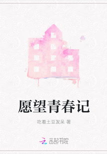 愿望青春記