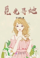覓光尋她在線閱讀