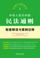 中华人民共和国民法通则配套解读与案例注释（配套解读与案例注释系列）