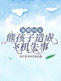 暑假回家，熊孩子造成飛機失事