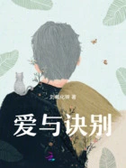 爱与诀别在线阅读