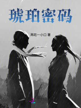 琥珀密码在线阅读