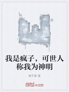 我是疯子,可世人称我为神明在线阅读