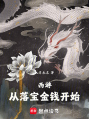西游:从落宝金钱开始在线阅读