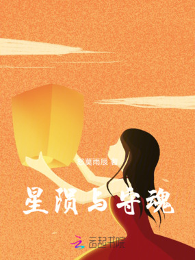 星陨与守魂在线阅读