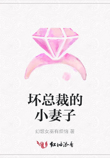 壞總裁的小妻子