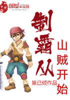制霸從山賊開始在線閱讀