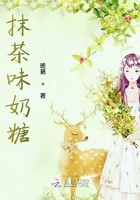 抹茶味奶糖