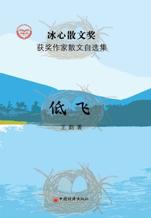 低飞