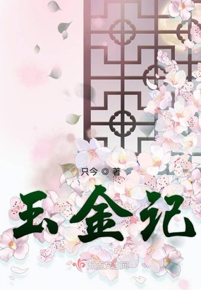 玉金记在线阅读