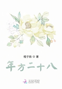 年方二十八