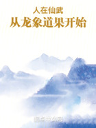 人在仙武，從龍象道果開始在線閱讀