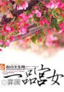 一品宮女