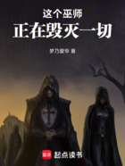 这个巫师正在毁灭一切在线阅读