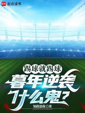 踢球就踢球，暮年逆袭什么鬼？在线阅读