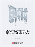 京清纪匠火在线阅读