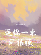 送你一束洋桔梗在线阅读