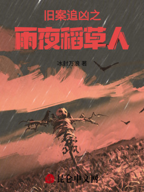 旧案追凶之雨夜稻草人在线阅读