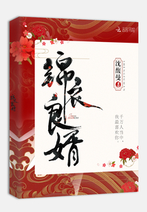锦衣良婿