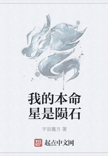 我的本命星是隕石