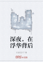 深夜,在浮华背后在线阅读