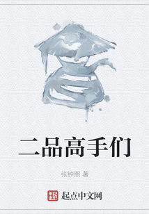 二品高手们