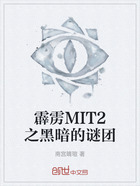 霹雳MIT2之黑暗的谜团在线阅读