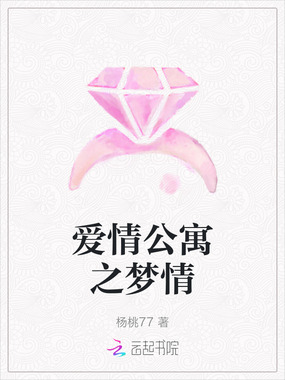 爱情公寓之梦情在线阅读