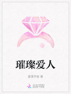 璀璨爱人在线阅读