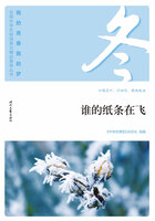 “我的青春我的梦”全国中学生校园美文精品集萃丛书:谁的纸条在飞在线阅读