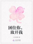 困住你,放开我在线阅读