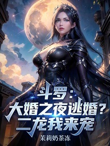 斗罗：大婚之夜逃婚？二龙我来宠在线阅读