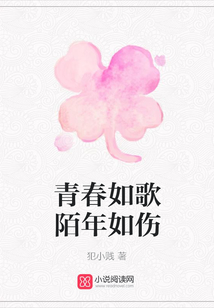 青春如歌陌年如傷