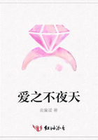 愛之不夜天在線閱讀