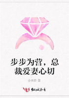 步步为营,总裁爱妻心切